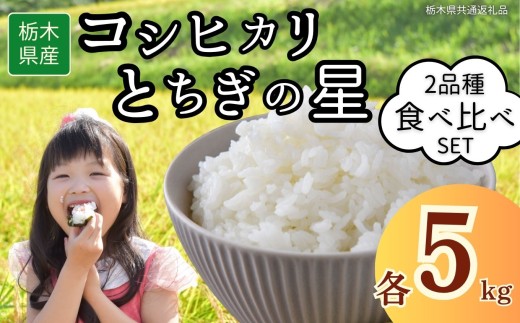 栃木県産 お米食べ比べ コシヒカリ とちぎの星 合計10kg | 2025年 2025年米 令和7年米 秋 白米 ごはん ご飯 小分け 人気 おいしい 旨い おにぎり おむすび お弁当 限定 栃木県共通返礼品 栃木県 下野市 送料無料