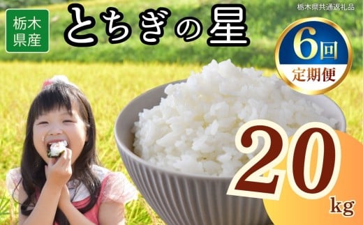 【定期便6回】栃木県産とちぎの星 20kg | 2025年 2025年米 令和7年米 秋 白米 ごはん ご飯 小分け 人気 おいしい 旨い おにぎり おむすび お弁当 限定 栃木県共通返礼品 栃木県 下野市 送料無料 