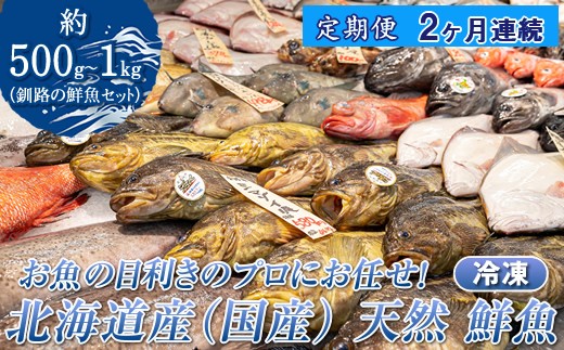 【定期便 2ケ月連続】 お魚の目利きのプロにお任せ！北海道産（国産） 天然 鮮魚 約500g～1kg（釧路の鮮魚セット） 鮮魚 刺身 セット 産地直送 定期便 冷凍 冷凍便 魚介類 海鮮 絶品 人気 ヒロセ 北海道 釧路町 釧路超 特産品 br04