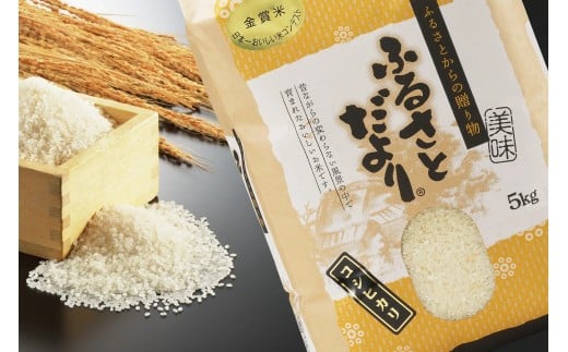 【令和7年産】『定期便』日本一おいしい米コンテスト金賞受賞 早川農興コシヒカリ 玄米10kg × 3か月 FC084011