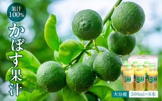 【大分県】【果汁100％】【無添加】カボス果汁　500ml×6本 大分県 果汁 飲料 さわやか 果汁100％ ストレート 常温 水不使用 カクテル かぼす 柑橘 F10041 336541 - 大分県大分市