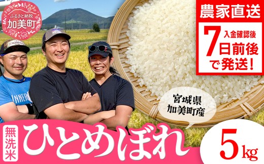 【無洗米】【5kg】 米 宮城県産 ひとめぼれ 《 令和7年産 新米 》 ブランド米 白米 精米 ご飯 ごはん コメ こめ お米 小分け 家庭用 結心ファーム [ 宮城県 加美町 ]  | yu-hb05-mu-r7 2337265 - 宮城県加美町