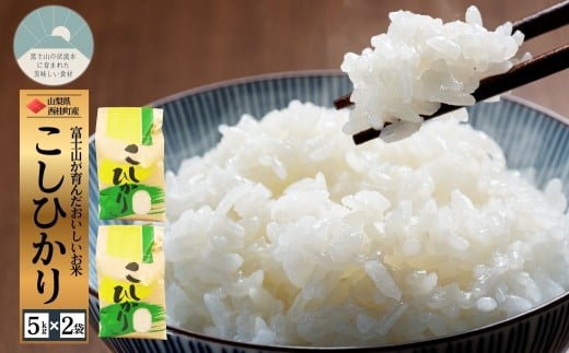 コシヒカリ 5キロ 2袋 / 国産 こしひかり  10キロ 令和7年 新米 米 お米 保存袋 生活必需品 ギフト 贈り物 お歳暮 ふるさと納税 送料無料【n0663-10_nsk】