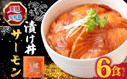 海鮮丼 サーモン 漬け丼 6食  南予ビージョイ SALMON 刺身 お刺身 刺し身 漬け 漬丼 丼 丼ぶり 海鮮 人気 海の幸 魚介 人気加工品 冷凍 小分け パック お手軽 便利 愛媛 宇和島 D010-150024 2376585 - 愛媛県宇和島市