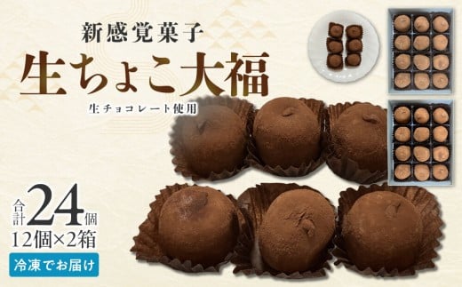 生ちょこ大福 12個入×2箱【ささもり 菓子 おかし 食品  贈り物 宮城県 人気 おすすめ 送料無料】
