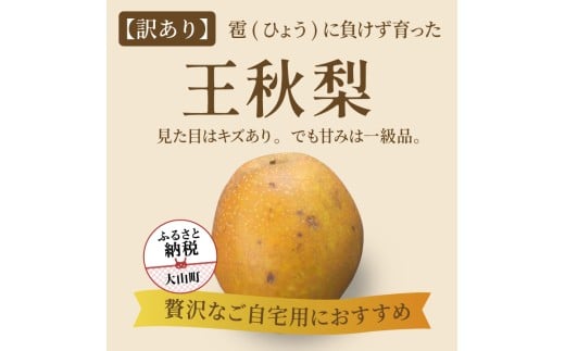 DS-27【訳あり梨】「ひょう」の被害を受けても力強く育つ王秋梨