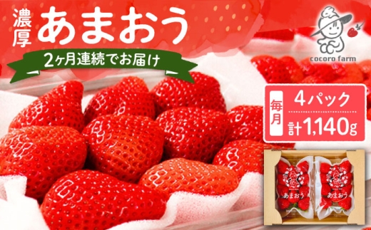 【2回定期便】【2025年12月から配送】ココロファームの濃厚あまおう 285g×4P 約1140g 《豊前市》【ココロファーム】 [VAE034]