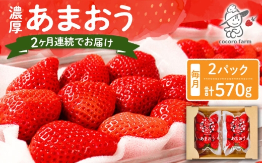 【2回定期便】【2025年12月から配送】ココロファームの濃厚あまおう 285g×2P 約570g 《豊前市》【ココロファーム】 [VAE033]