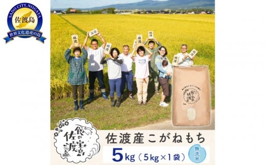 【新米】佐渡島産 こがねもち 無洗米 5kg 2370439 - 新潟県佐渡市