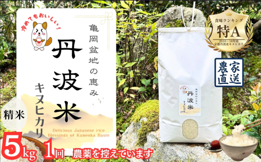 【9月発送】【令和7年産】新米 京都丹波産 キヌヒカリ  5kg ≪亀岡盆地の恵み 農薬を控えています 精米したてをお届け 自家栽培米 生産農家 直送 白米 米 精米≫ ※北海道・沖縄・離島への配送不可