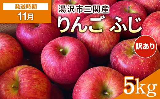 湯沢市三関産りんご（ふじ）5kg 家庭用 訳あり ふるさと納税 旬 果物 フルーツ ジューシー 甘い 秋田県【藤山果樹園】[B2804]