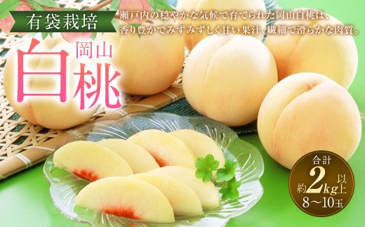 岡山 白桃 8～10玉 （合計2.0kg以上） 【2026年7月上旬～8月上旬 発送予定】 桃 もも モモ 果物 果実 フルーツ 岡山県 奈義町 冷蔵 2370605 - 岡山県奈義町