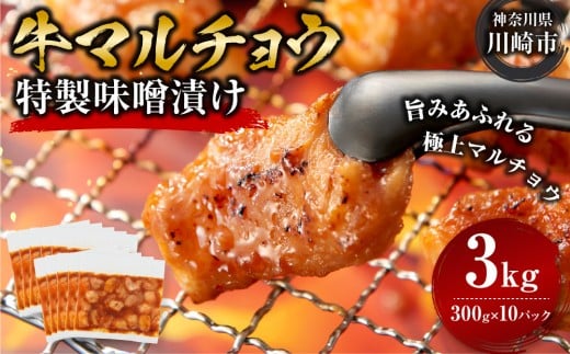 ＜訳アリ＞牛マルチョウ　特製味噌漬け　3kg(300g×10）
