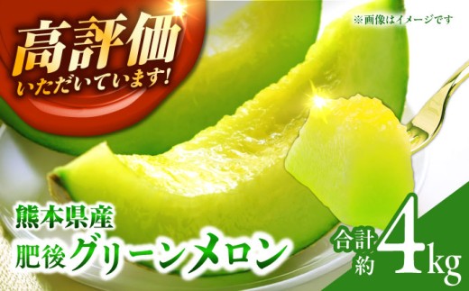 メロン 2玉 くだもの ブランド 人気 鮮度 高級 甘い 大きい 産地直送 おすすめ 高評価 リピーター 新鮮 熊本 山鹿市