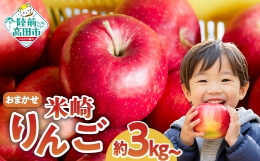 旬のりんご約3kgをお届けします