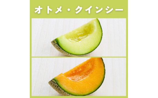 茨城県産オトメ・クインシーメロンセット優品または秀品3L以上2玉入＜2026年4月下旬以降順次発送＞【1686249】