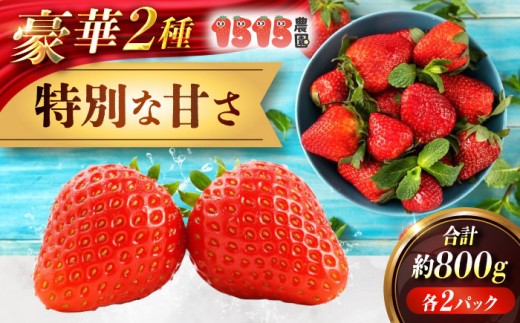 苺 「もういっこ・紅ほっぺ」200g×4パックセット もういっこ 紅ほっぺ いちご イチゴ セットフルーツ 果物 スイーツ 苺ジャム おやつ べにほっぺ ジャム ヨーグルト ケーキ 甘味 パフェ 甘い 酸味 バランス 艶 4パック 人気 おすすめ ギフト プレゼント 贈答 食後の デザート ショートケーキ くだもの 洋菓子 焼き菓子 広島県福山市/株式会社ラフテル [BAGD001]