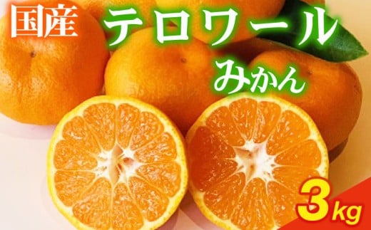 【先行予約】 果樹園直送 美味しさが濃いね! テロワールみかん 3kg （12月～１月発送） 柑橘 みかん いたくら農園果汁 果実 農家直送 産地直送 ギフト プレゼント 贈答 お中元 濃厚 旨味 季節 かんきつ オレンジ 果汁 ミカン 甘み 香りお歳暮 美味しい 果物 フルーツ テロワール 新鮮 国産 安心 静岡みかん さっぱり 甘い 静岡蜜柑 牧之原みかん 静岡 県 牧之原 市 いたくら農園