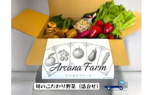 【12回定期便】 こだわりの新鮮野菜セット 8~11品目 | 野菜セット 新鮮 野菜 季節の野菜 おすすめ 高知県 南国市