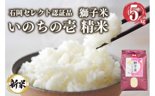 【3月発送】獅子米 いのちの壱 精米 5kg 岡田ファーム コンテスト受賞米 お米 白米 米 おこめ ブランド米 5キロ 国産 単一原料米 コメ こめ ご飯 銘柄米 茨城県産 茨城 産直 産地直送 農家直送 ごはん 家庭用 贈答用 ギフト 茨城県 石岡市 (B02-053) 1899408 - 茨城県石岡市