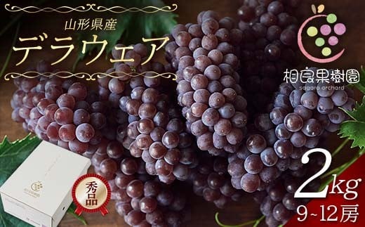 ≪2026年先行予約≫【相良果樹園】贈答用 山形県産 種無しぶどう デラウェア 2kg(9～12房) 秀品 個包装 2026年7月上旬から順次発送 F2Y-6512