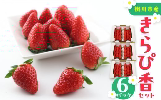 きらぴ香セット(6パック)【1676945】