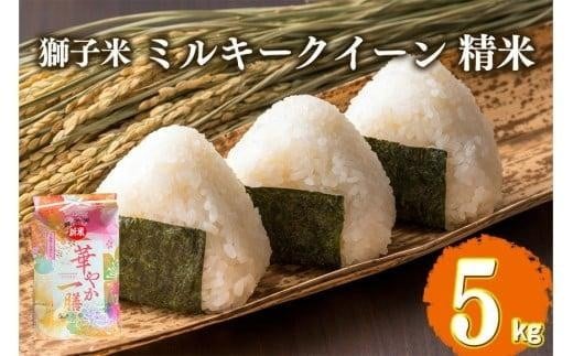 【1月発送】ミルキークイーン 精米 5kg お米 米 こめ コメ 精米 白米 ご飯 ごはん 茨城県 石岡市 B02-066 2364991 - 茨城県石岡市