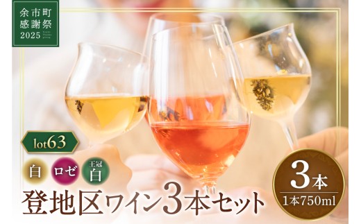 【余市町感謝祭2025】lot2563 登地区のワイン3本セット