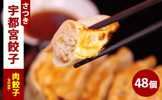 肉餃子 24個入り×2箱（合計48個）（960g）