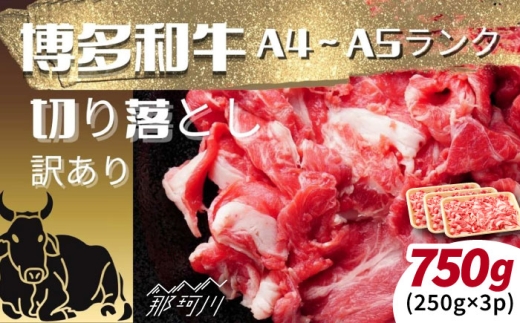 【訳あり】【A4～A5ランク】博多和牛 切り落とし 750ｇ（250g×3個） [GFR053]