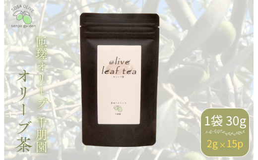 匝瑳オリーブ 千朋園　オリーブ茶　1袋 30g（2g×15パック） ／ お茶 オリーブ茶 オリーブ オレウロペイン ポリフェノール ティーバッグ 2376423 - 千葉県匝瑳市