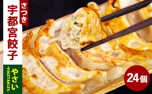 やさい餃子 24個入り×1箱（480g）