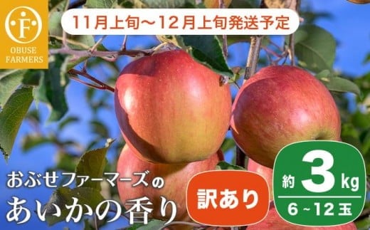 【訳あり】あいかの香り 約3kg 6～12玉 ［おぶせファーマーズ］ フルーツ 果物 林檎 リンゴ 長野県産 信州産 加工 傷 キズ 不揃い 規格外 家庭用  令和7年産 【2025年11月上旬～12月上旬発送】  ［FH-57］ 1231385 - 長野県小布施町