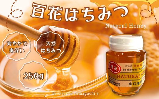 信州特産！！「国産純粋　天然 百花はちみつ」250ｇ [YY-102-1]