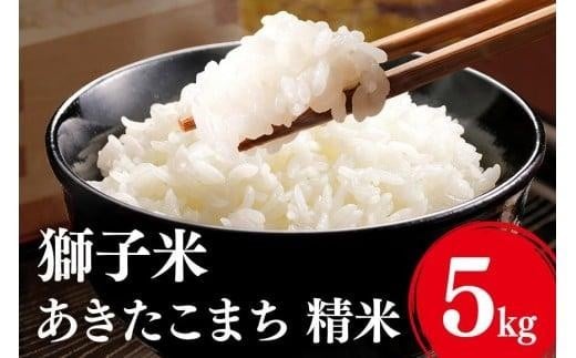 【2月発送】あきたこまち 精米 5kg お米 米 こめ コメ 精米 白米 ご飯 ごはん 茨城県 石岡市 B02-075 2364999 - 茨城県石岡市