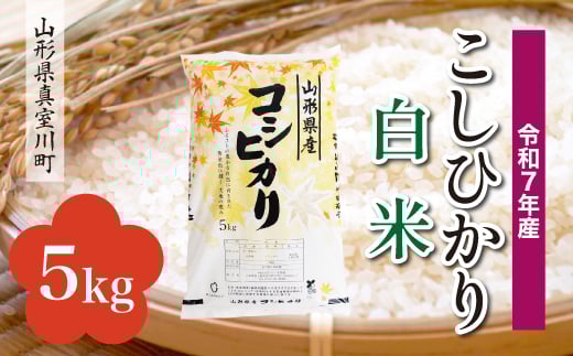 ＜令和7年産米＞ こしひかり 【白米】 5kg （5kg×1袋）＜配送時期指定可＞　山形県真室川町 2372199 - 山形県真室川町