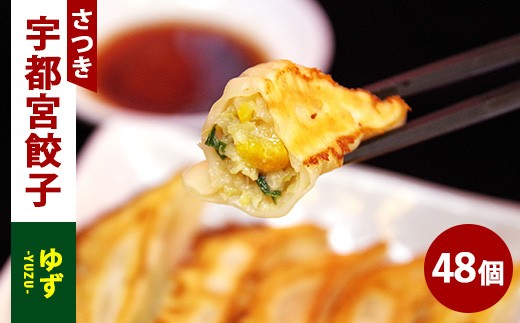 ゆず餃子 24個入り×2箱（合計48個）（960g）