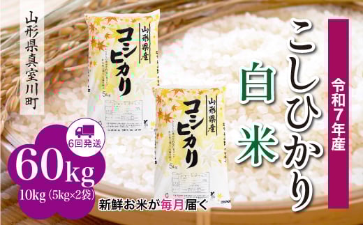＜令和7年産米＞ こしひかり 【白米】 定期便 60kg （10kg×1ヶ月間隔で6回お届け）＜配送時期指定可＞　山形県真室川町 2372217 - 山形県真室川町