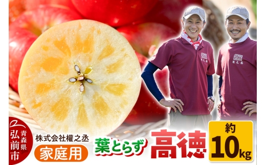【25年11月出荷】權之丞 葉とらずりんご 高徳 （こうとく） 家庭用 約10kg【弘前市産・青森りんご】