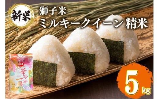 【3月発送】獅子米 ミルキークイーン 精米 5kg 岡田ファーム お米 白米 米 おこめ ブランド米 ミルキー 5キロ 国産 単一原料米 コメ こめ ご飯 銘柄米 茨城県産 茨城 産直 産地直送 農家直送 ごはん 家庭用 贈答用 お取り寄せ ギフト 茨城県 石岡市 (B02-041) 1890857 - 茨城県石岡市