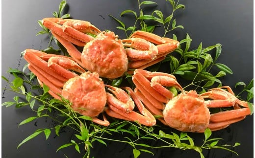 浜ゆで！松葉蟹(足折れ)1.0㎏以上(2～3杯）