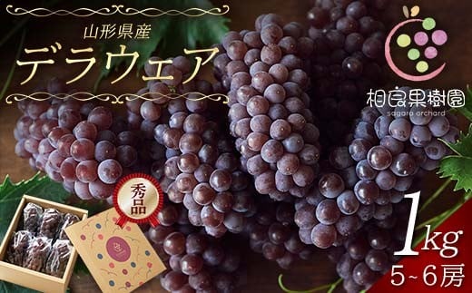 ≪2026年先行予約≫【相良果樹園】贈答用 山形県産 種無しぶどう デラウェア 1kg(5～6房) 秀品 個包装 2026年7月上旬から順次発送 F2Y-6511
