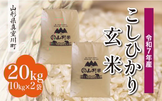 ＜令和7年産米＞ こしひかり 【玄米】 20kg （10kg×2袋）＜配送時期指定可＞　山形県真室川町 2372207 - 山形県真室川町