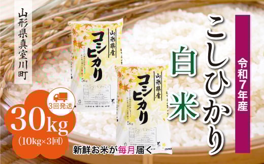 ＜令和7年産米＞ こしひかり 【白米】 定期便 30kg （10kg×1ヶ月間隔で3回お届け）＜配送時期指定可＞　山形県真室川町 2372213 - 山形県真室川町