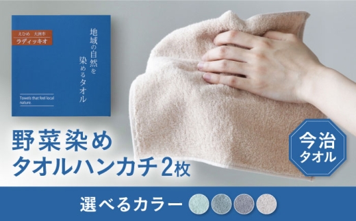 ラディッキオ染め タオルハンカチ 2枚セット（グリーン・ダークグリーン各1枚）愛媛県大洲市/一般社団法人キタ・マネジメント（おおず赤煉瓦館）今治タオル 野菜染め サステナブル SDGs [AGCO125]