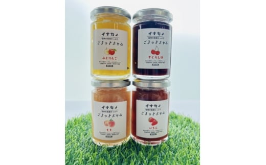 長野県果実を使った　イナカノ　ごろっとジャム　140g×おすすめ4本セット＜B＞【1625413】