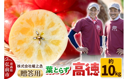 【25年11月出荷】りんご 權之丞 葉とらずりんご 高徳 贈答用 約10kg【弘前市産・青森りんご】