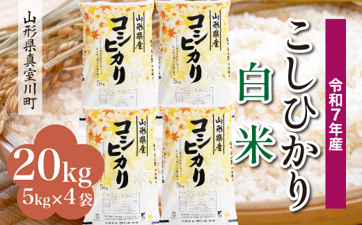 ＜令和7年産米＞ こしひかり 【白米】 20kg （5kg×4袋）＜配送時期指定可＞　山形県真室川町 2372208 - 山形県真室川町
