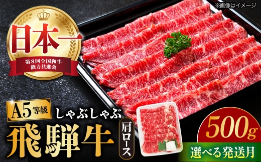 【12/17までの決済で年内配送】【12月発送】【飛騨牛 しゃぶしゃぶ用】 A5等級 ロース / 肩ロース 500g 和牛 ブランド牛 国産 牛肉 多治見市 / 渡辺精肉店 [TAZ007-12]