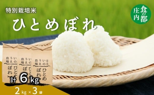 食の都庄内　【令和7年産・精米】井上農場の特別栽培米 ひとめぼれ 6kg（2kg×3袋）